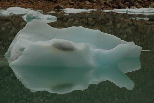 Mt. Edith Cavell
